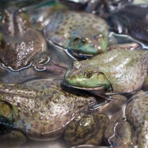 ţ�ܮ����^10�f���Ј��������󣬳��^10Ԫ/����Ǳ���