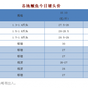 �B��ϧ�ۣ��V�|�Z�~�r���ϝq���D���~�^�m�µ���| �����Z�N�������^�r��