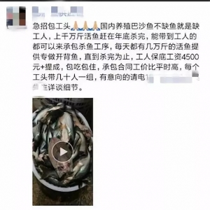 ��ȱ��ɳȱ�˹������a��ɳ�~������ʢ�����蹤�����Ӯa�����a�I���Εr����