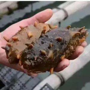 �����|���׺��o���ɲ����r�񄓽�10���¸ߣ�