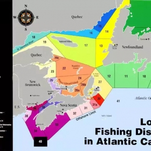 ���ô�35�^���Ƽ��_ʼ�������²����������Ѓr����Σ�