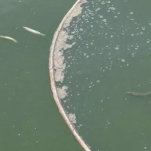 �Oˎԭ�σr(ji��)�񱩝q���W(w��ng)ُˎ���S���ˣ�����ã�