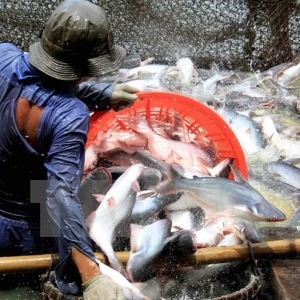 �~�ģ��qһƬ����ɳ�~ԭ�σr�񄓚vʷӛ䛣���r�Ԯ�����