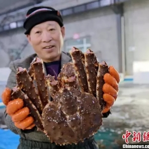 ȱ؛�´�Ҏ�����r���ϝq�����_˹����з�M���~��3�����Ј���