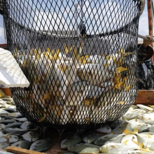 2018��10��20�ս��K�~(y��)���^�r(ji��)���麆(ji��n)��--�B(y��ng)��(h��)���г��~(y��)���~(y��)�r(ji��)�����»�