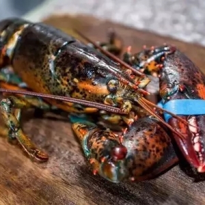 �����¼��������յ�؛����(n��i)����Ҏ(gu��)���Ծoȱ���r��̎�ڸ�λ