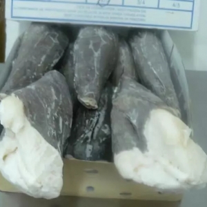 �Ї��y�L�~�Ј�ӭ�����^����������y�L�~�������M܊�Ї������Ј�