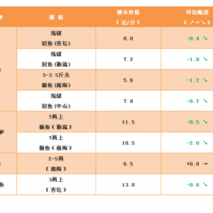 ���~���~���_ʼ�����r��̎��ӯ̝���ϡ���2018��10��26�����~���^�r��