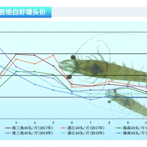 ��(du��)�r�����r���������m(x��)�p�٣��r(ji��)�����w�ַ�(w��n)������ˮ�a(ch��n)ǰ�ء�2018��11�¿��Ј�(ch��ng)څ��(sh��)