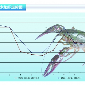 С���r���������½� �r�����з�Ј��_����һ���»�������ˮ�aǰ�ء�2018��11�¿��Ј�څ ...