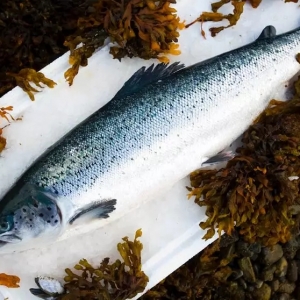 ȫ�������a�^�K���m�����~����Ĺ�����֪����