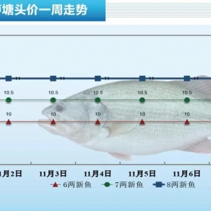 ������ԣ��B��ϧ�ۣ������|һ�����^�������