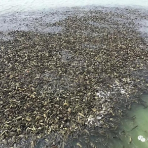 �_�����q�ѵ���6Ԫ/����������⯂�q���B(y��ng)ֳ������sˮ