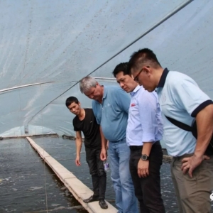 �N�r���^SIS�����Ƴ�ȫ�¸߿�������ϵ�������x�����m���Ї��ķN�r