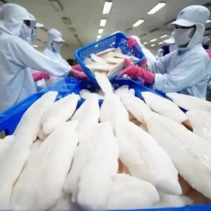 �𱬣���ɳ�~�r�ߵ�ȫ���a(ch��n)���ԟo���M���Ј����󣬇���(n��i)�B(y��ng)ֳ����������