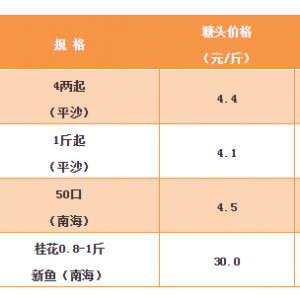 2018��11��16���a�~���_���~�����N�����~���^�r��