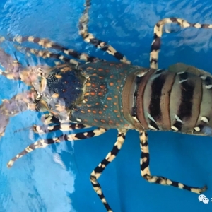 С���r���H�ݡ������r���������U�~�B���Ѷ�������...