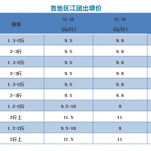 ����~�̵��V�|���~���N���ϝq���~�r����΢�q����2018��11��19�ս��F���^�r��