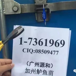 �L�ٿ��������������������B(y��ng)�ɺ��w�������������Ӵ��_�������|����������