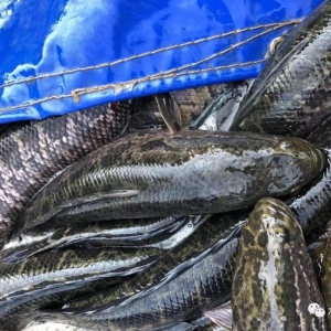 ��ʡ���~�_���������Ј����Bֳ����Ը�u�~�������B��Ҏ�񲫸߃r