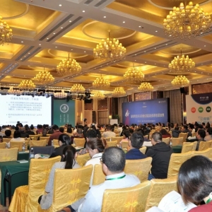 ��2020�������Ӌ�r���R���T���h�ȴ󿧂���Փ�����Bֳ-�濹����Ʒ��ֲ�ﾫ�ͣ�