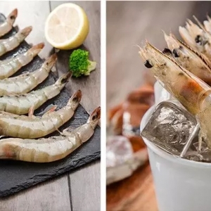 �Ї�(gu��)���P(gu��n)��϶ࠖ���r��һ�󹩑�(y��ng)������(ji��n)�֡��߼�(j��)�|(zh��)�����еȃr(ji��)�� ���Ј�(ch��ng)��(zh��n)��