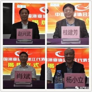 ��ӛ�£��Ї�(gu��)�O�I(y��)�f(xi��)��(hu��)��ʽ����տ������̎������տ���O�I(y��)���ϸ߷�