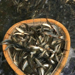 �д�𱩵������ֵ؅^�D���~�r����䡪��2018��11��28���Z�N���^�r