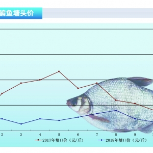 ���~�����m���ԡ�����ˮ�aǰ�ء�2018��12�¿��Ј�څ��