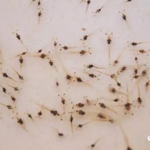 2019���r��r�������������