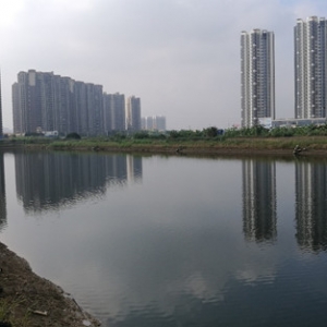 ���Ⱪ�q4-5�������vʷ�¸ߣ��@�r��߀���B�᣿