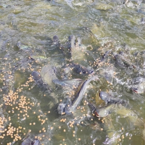 �Ї����m���B��ɳ�ĵط��������ϣ���΅s���ИI�J���ǡ�����һ����