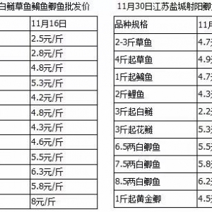 �W���Ĳ���ˣ��i��Ӱ�߀�ڣ�����~�r��Ȼή�ң�