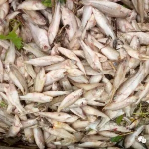 ʮ���fβ�����|��Ī���������ǲ�����Ⱦ߀�ǡ����ݲ�����������Bֳ���f����һ��