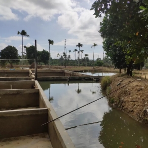 �Ї���ɳ�~����ʽ���L��2019�괺�翿����