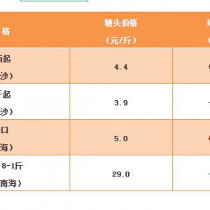 2018��12��7���a�~���_���~�����N�����~���^�r��