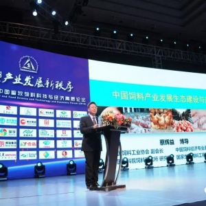 2019��������I��ô���^�����������мZ�ȴ���I�@���f����