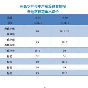 �V�|�Z�~�ȝq���������2018��12��10���Z�~���^�r��