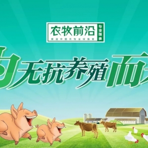 �׌��Ї��i�I���[�����ȿ�����ĸԴ��ϡ��S��̎��......߀��ɶ��