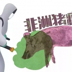 �Ą�����B(y��ng)ֳ��I(y��)��^(q��)��(n��i)����ȫ�a(ch��n)�I(y��)朣��@���vԒ߀͸¶����Щ��Ϣ