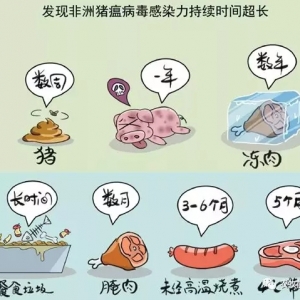 �B�iֻ�u�ײ˃r���|��ʡ���i�B�����mѪ̝����·���ģ�