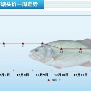 ȫ����؅^�����|һ���������