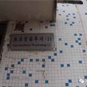 �@��ʯ���~���S���B(y��ng)ֳ����߮a(ch��n)95����/�����ף�