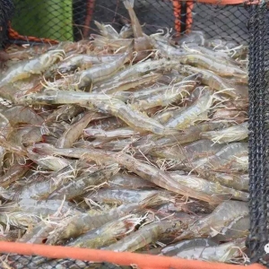 ����r�r�����ء�����|�ֽ�3Ԫ/���2018��12��14�������׌��r���^�r��