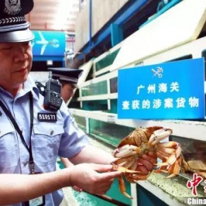 �V�ݺ��P(gu��n)�ƫ@�羳�����˽�r��r�󰸣�ץ�@8�ˣ��永3000�f(w��n)��