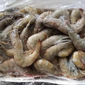 �V������ԭ�a���C������������Ʒ�o��߅�Q�M���Ї�����϶ࠖ���r�r�񯂝q