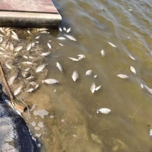 ��ʮ�겻����(qi��ng)������Ű�V����6.5Ԫ/���_���~�������������B(y��ng)���pʧ��ǧ�f