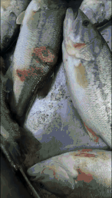 �Bֳ���u3000���~�����ڃr�H2Ԫ/�����������|��Ⱦˮù������ȫ�����]