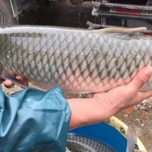 ����~�r�����ϝq�������������ա������~�r�j�q��