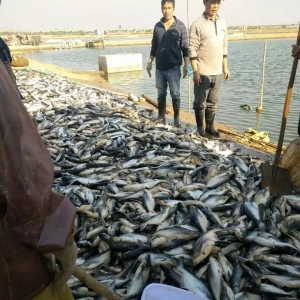 �K�������f���ɳ�~���������Bֳ��Ѫ���o�w��